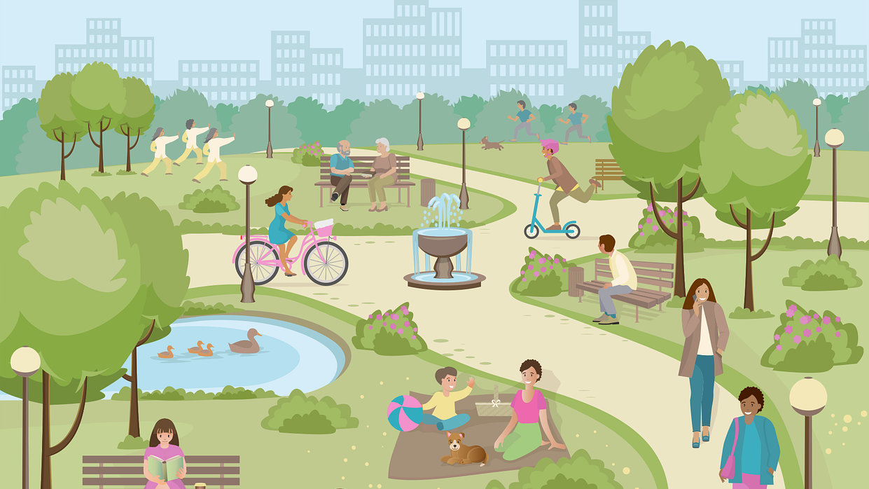 Activities in the park