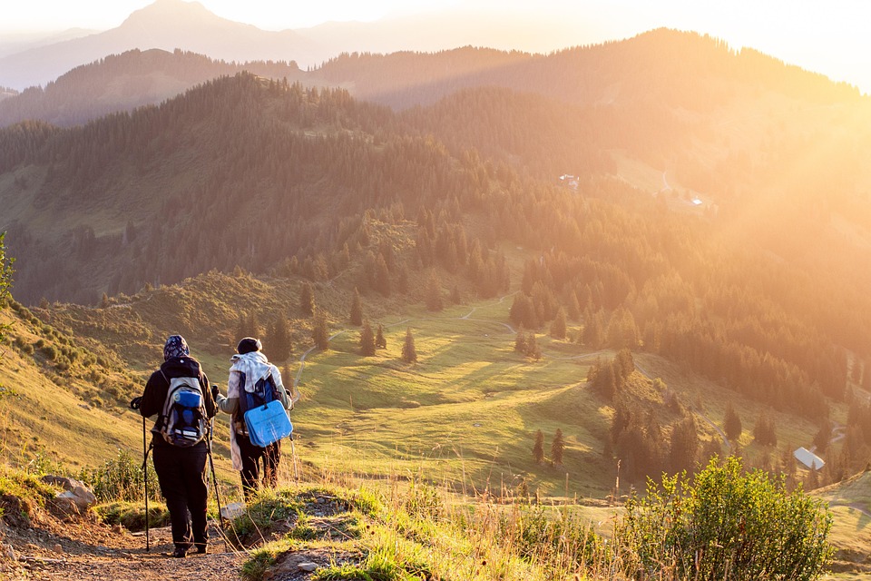 Two hikers overlooking a view covered in greenery with mountains in the distance.